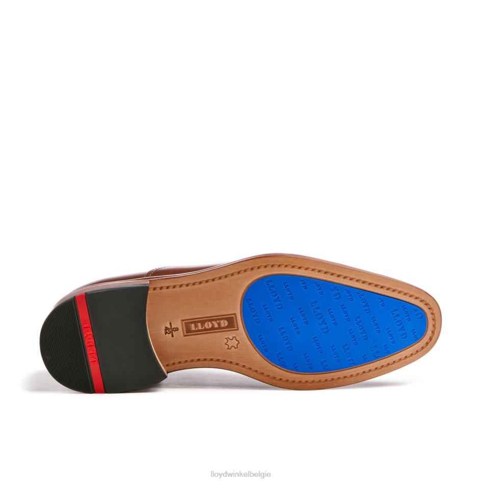 beroven Heren LLOYD bruin schoenen ZJ6BL130