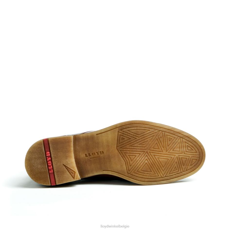 dartmoor Heren LLOYD bruin schoenen ZJ6BL44