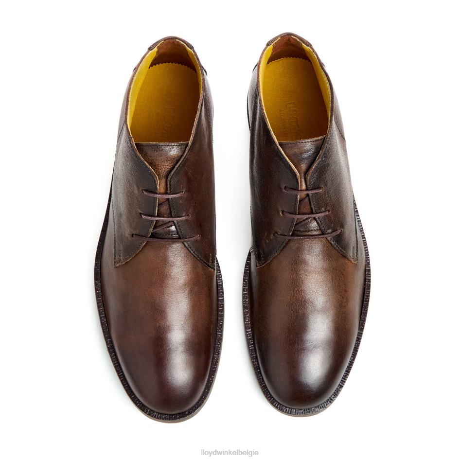 hertog Heren LLOYD bruin schoenen ZJ6BL43