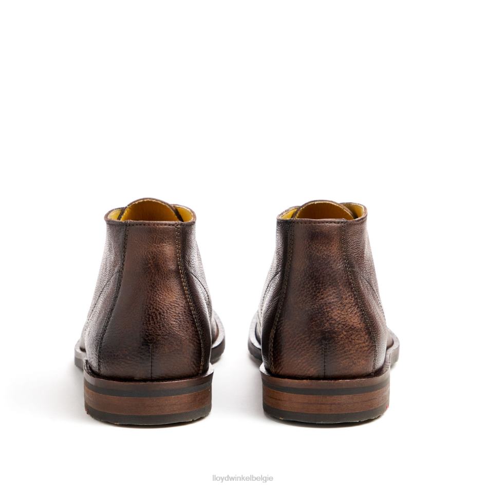 hertog Heren LLOYD bruin schoenen ZJ6BL43