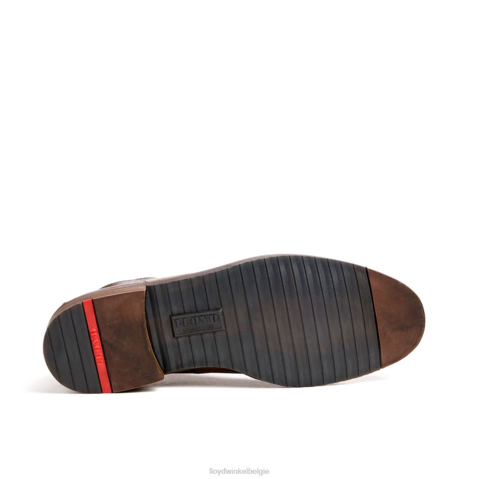 hertog Heren LLOYD bruin schoenen ZJ6BL43