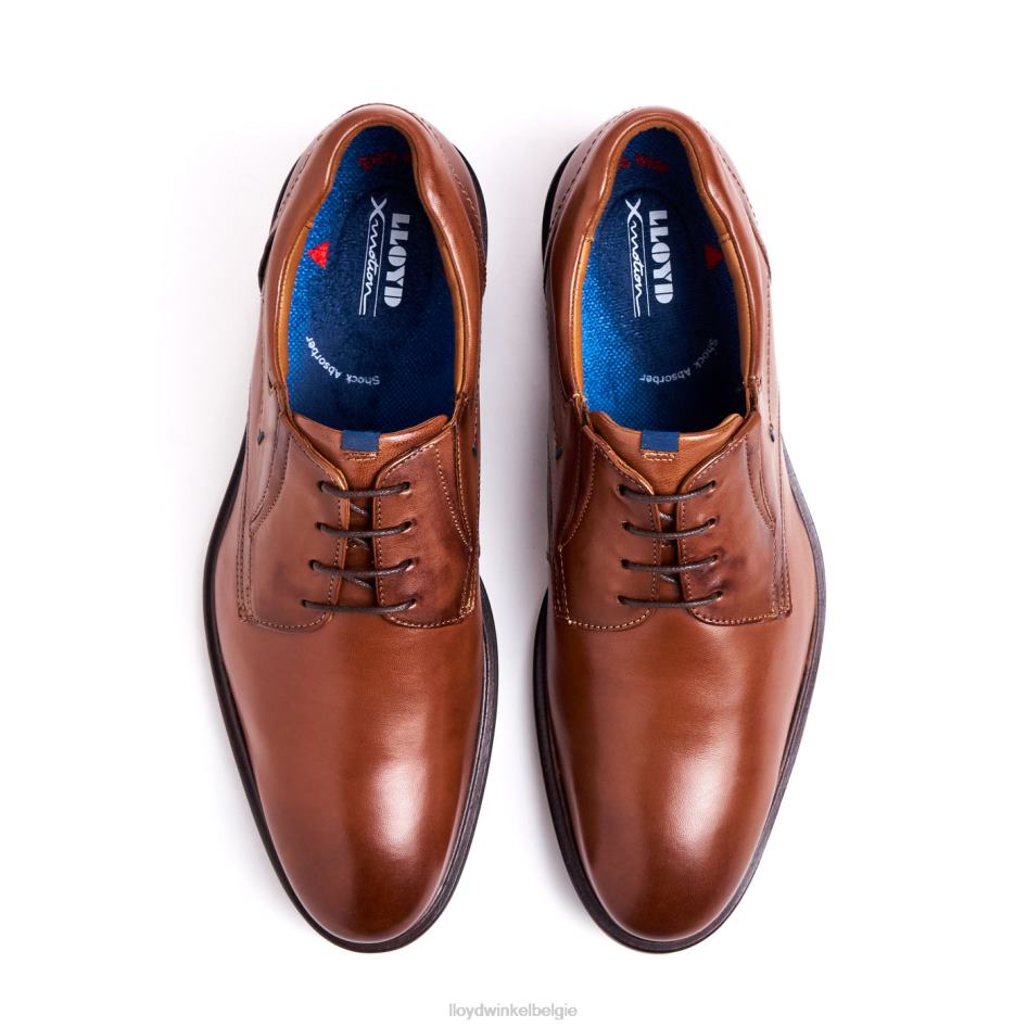 kos (xtrabreed) Heren LLOYD bruin schoenen ZJ6BL142