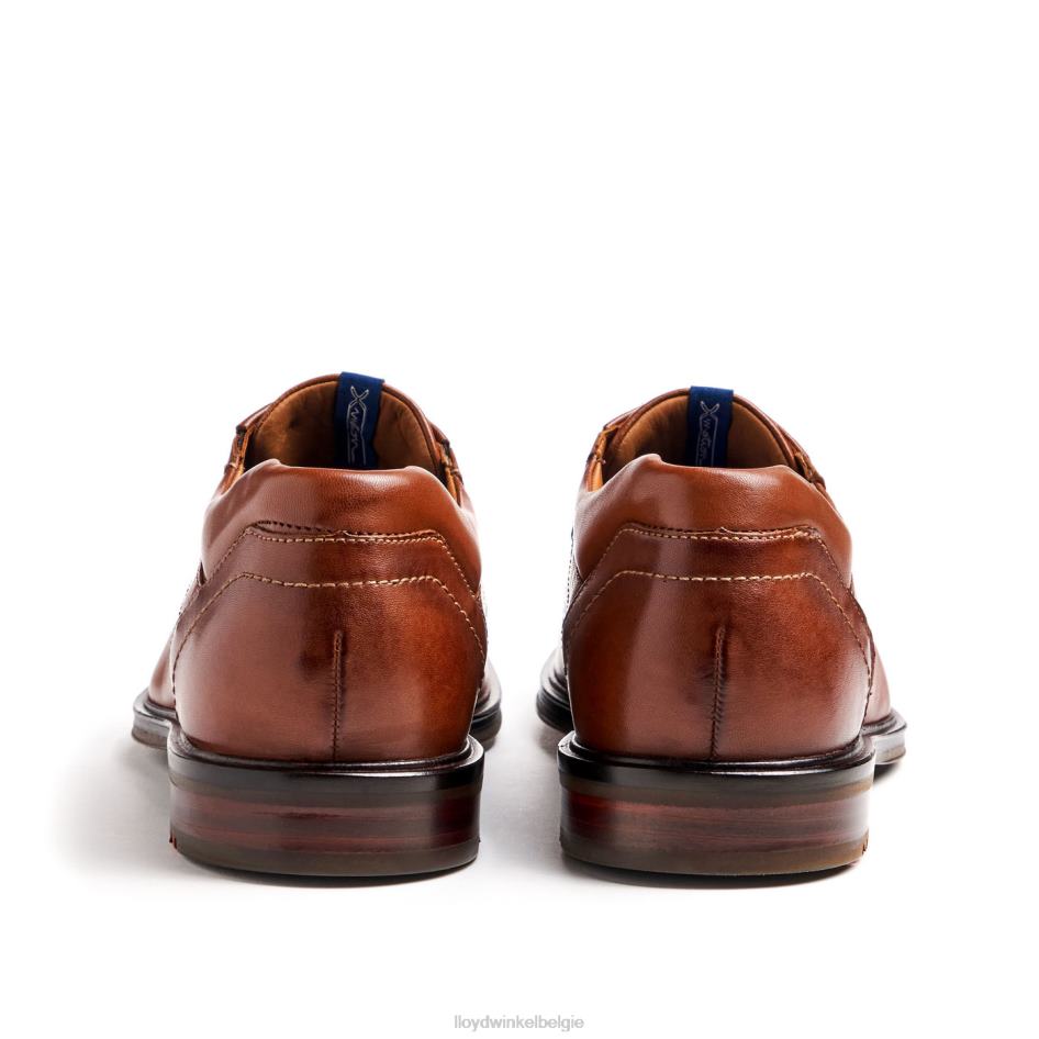 kos (xtrabreed) Heren LLOYD bruin schoenen ZJ6BL142