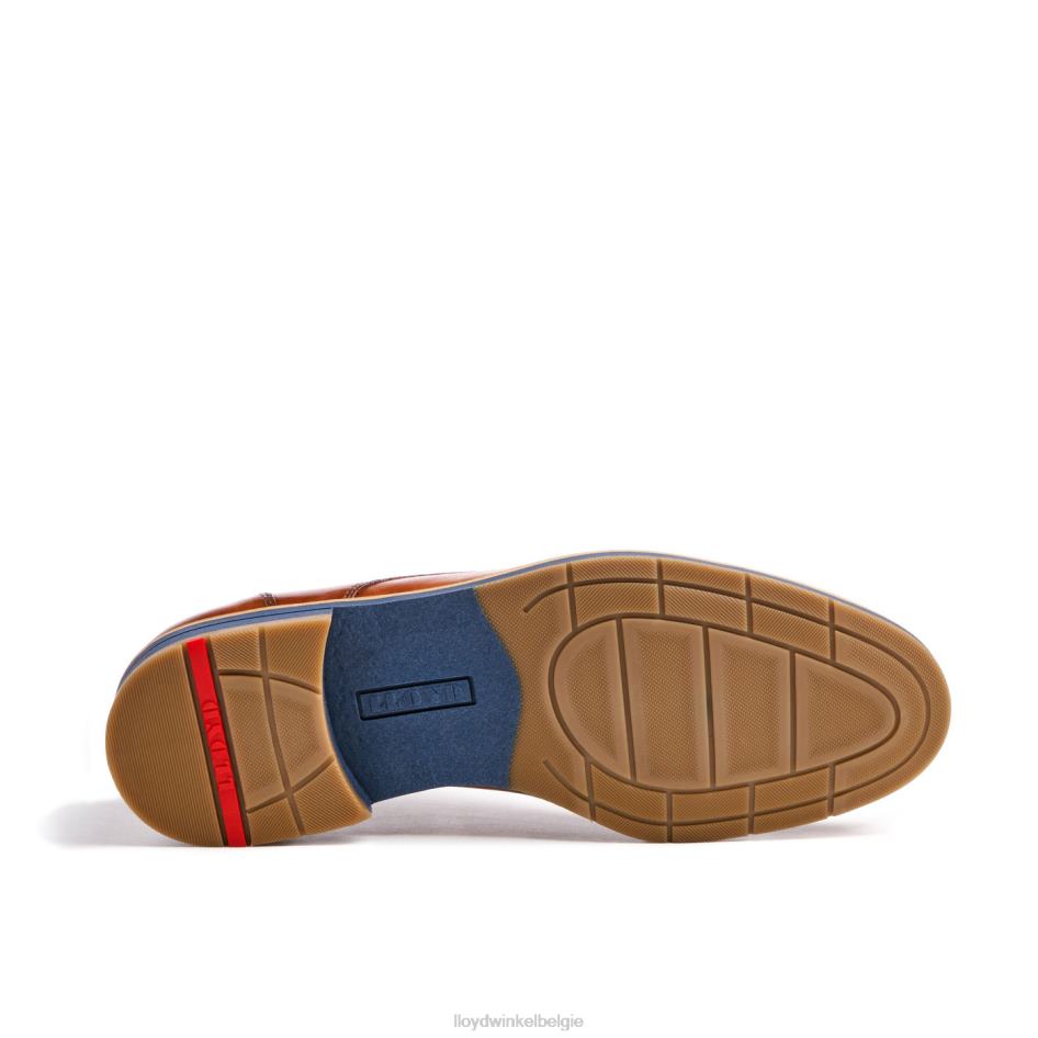 langston Heren LLOYD bruin schoenen ZJ6BL27