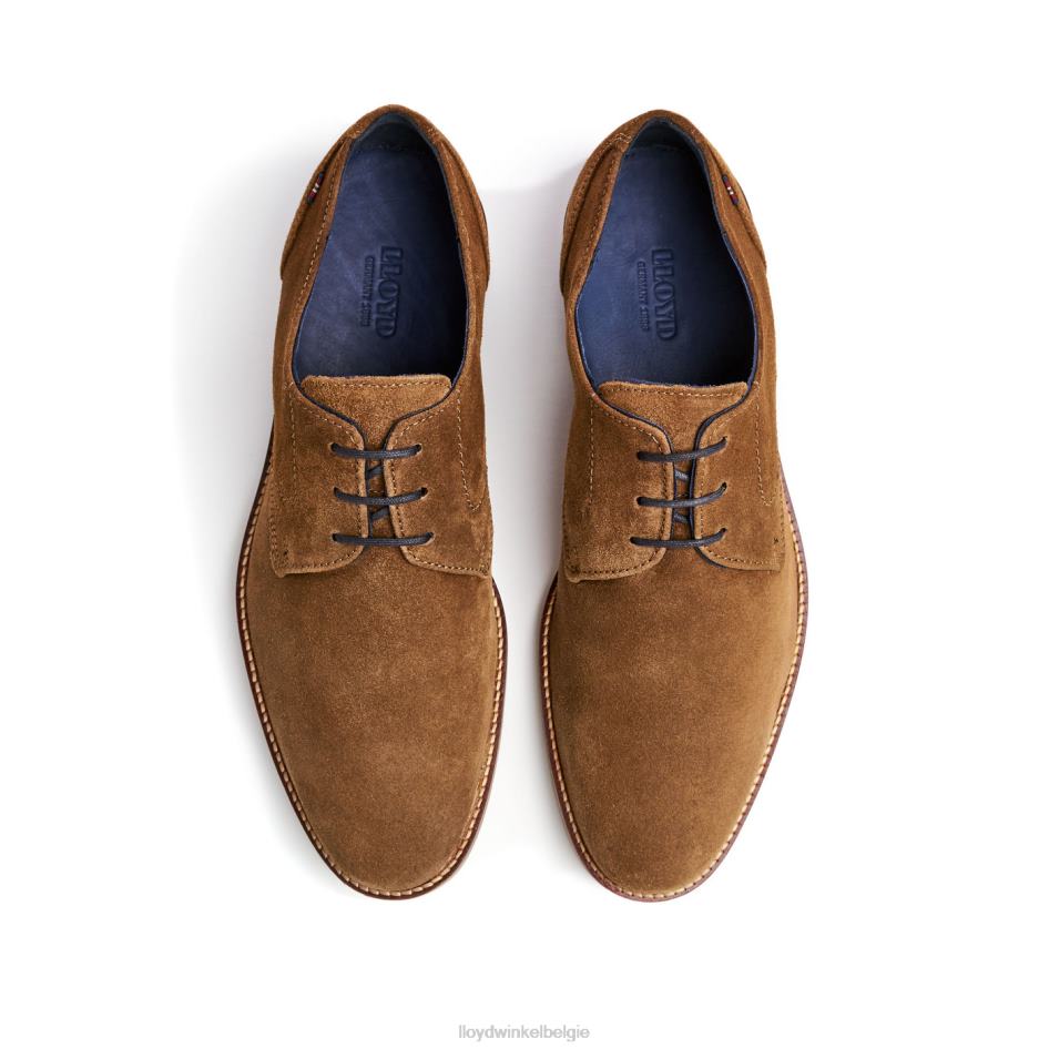langston Heren LLOYD bruin schoenen ZJ6BL88