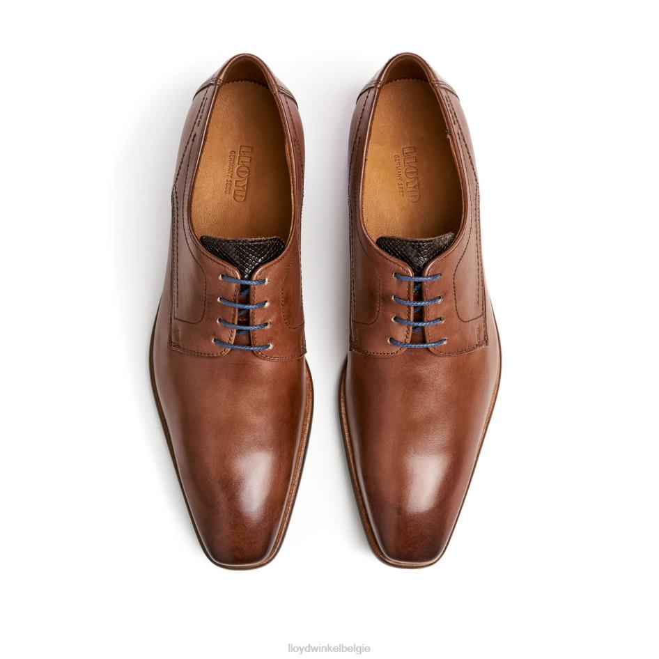 maffiabaas Heren LLOYD bruin schoenen ZJ6BL112