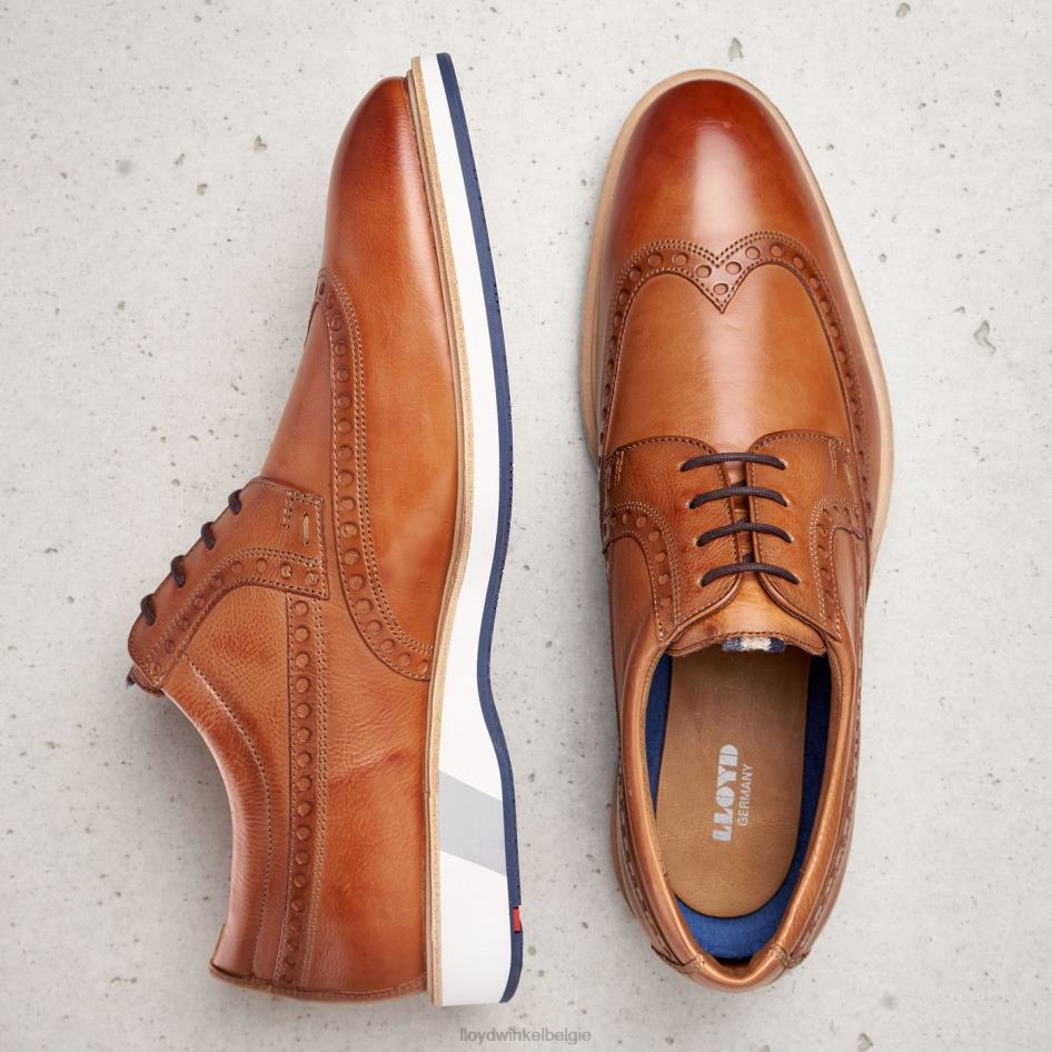 nafir Heren LLOYD bruin schoenen ZJ6BL247