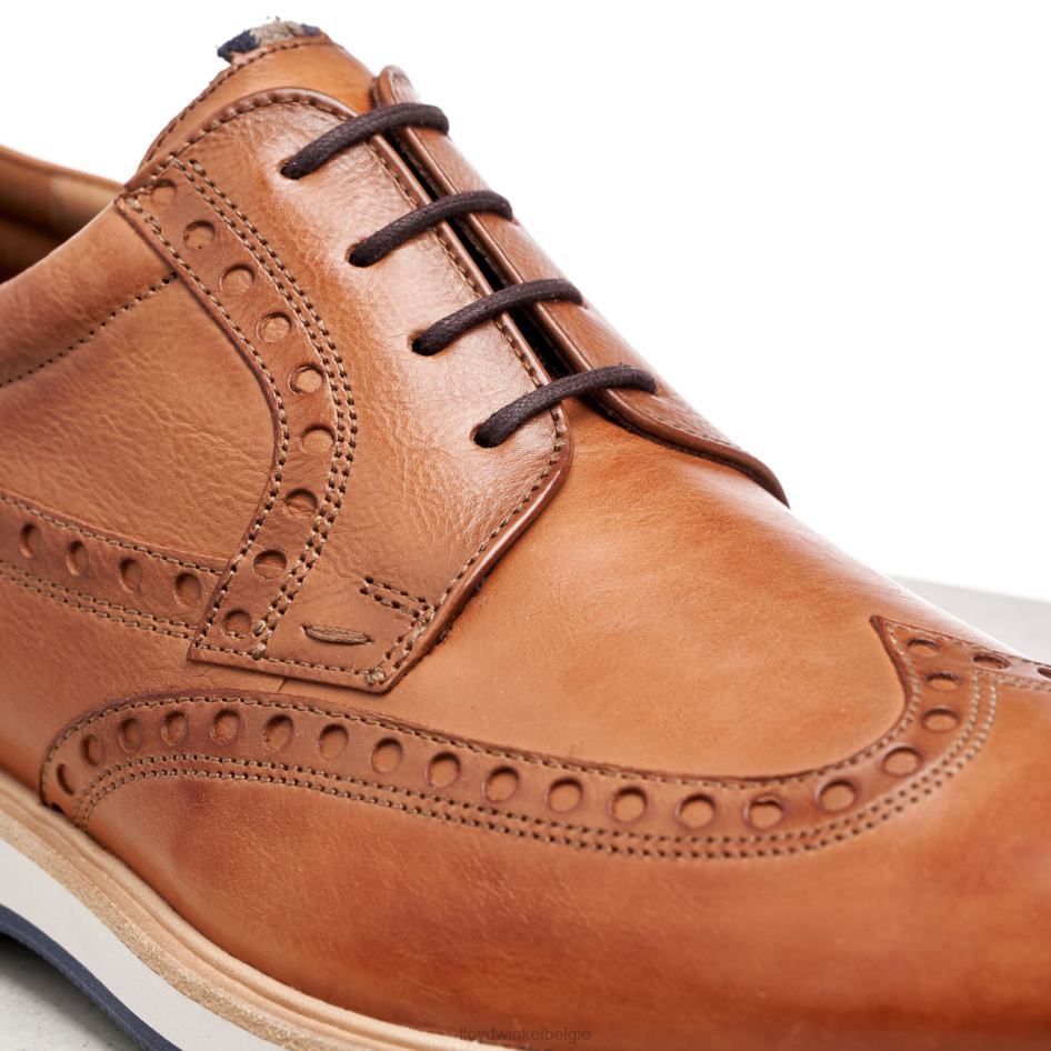 nafir Heren LLOYD bruin schoenen ZJ6BL247