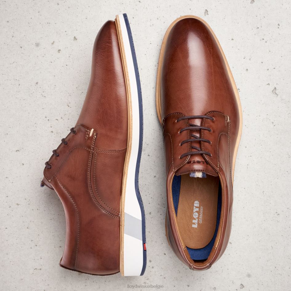 neptun Heren LLOYD bruin schoenen ZJ6BL218