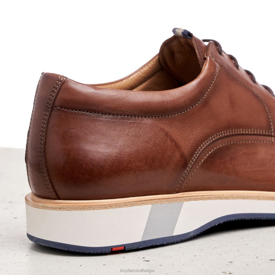 neptun Heren LLOYD bruin schoenen ZJ6BL218