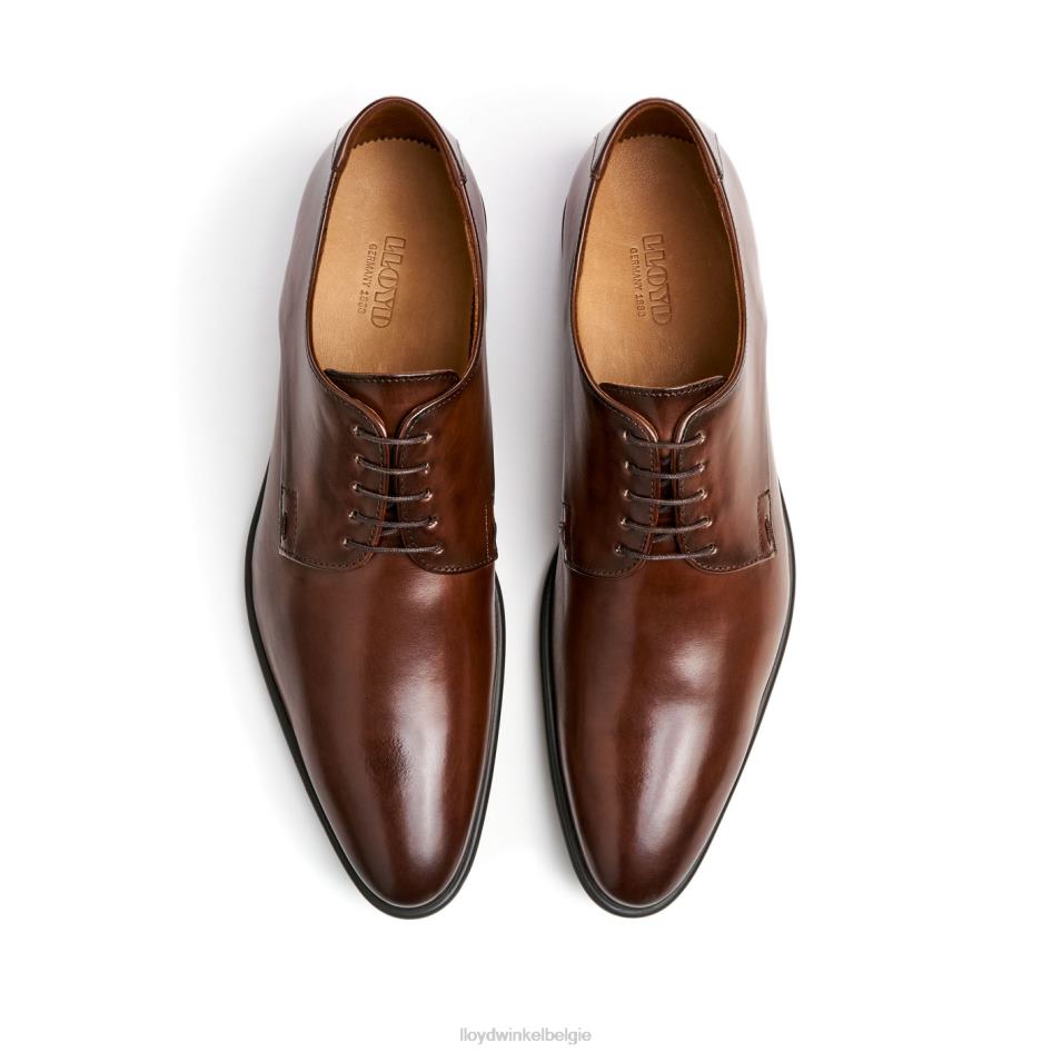 nik Heren LLOYD bruin schoenen ZJ6BL127