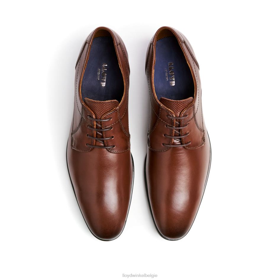 osmond Heren LLOYD bruin schoenen ZJ6BL85
