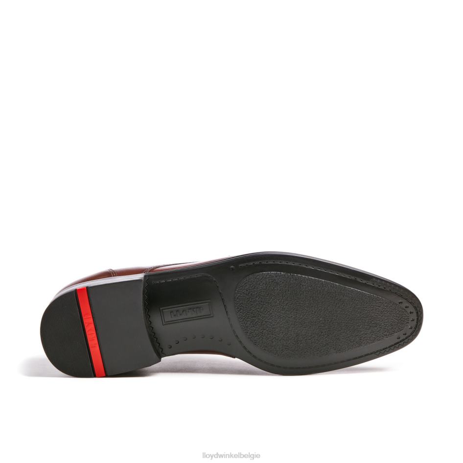 osmond Heren LLOYD bruin schoenen ZJ6BL85