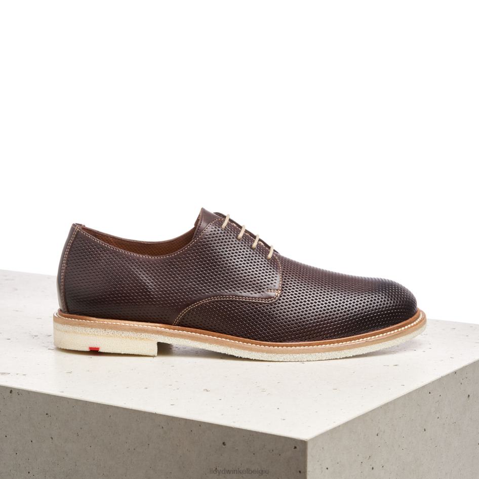 palma Heren LLOYD bruin schoenen ZJ6BL226