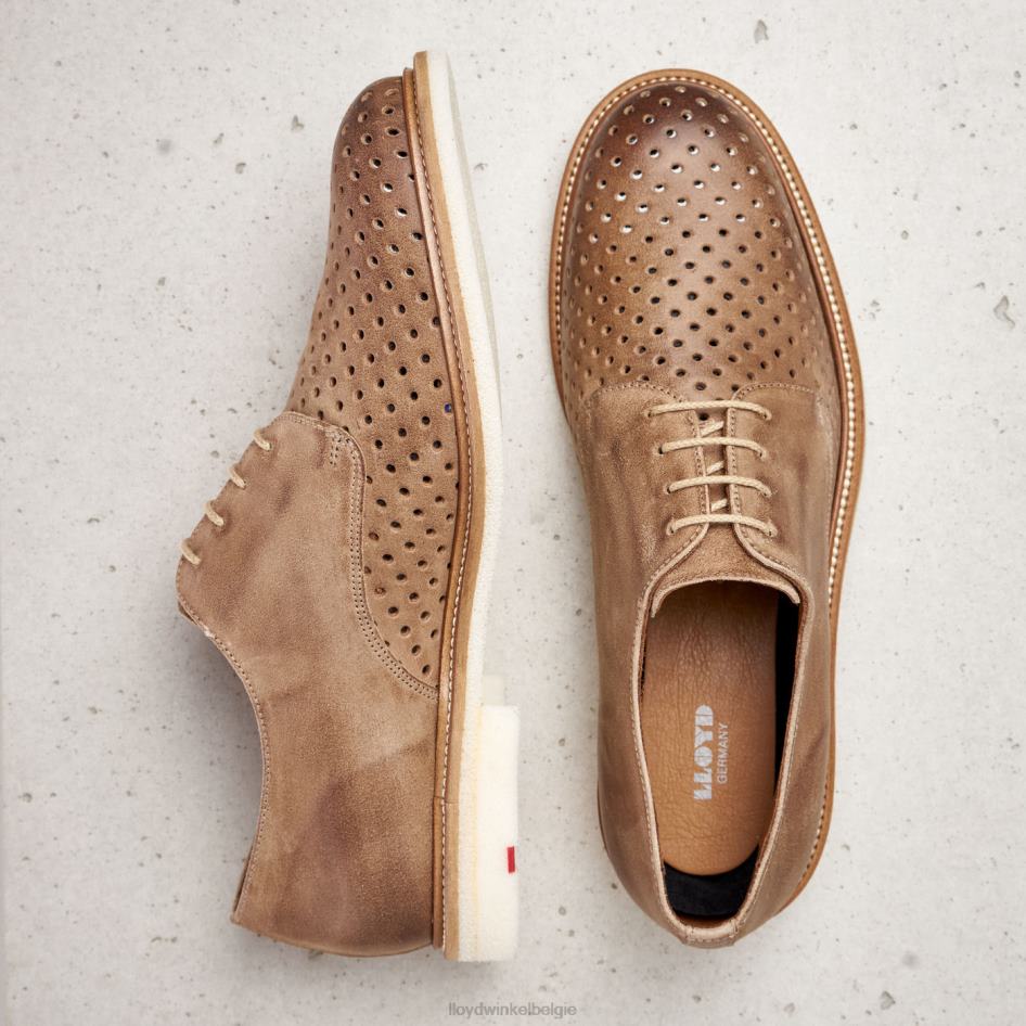 parker Heren LLOYD bruin schoenen ZJ6BL213