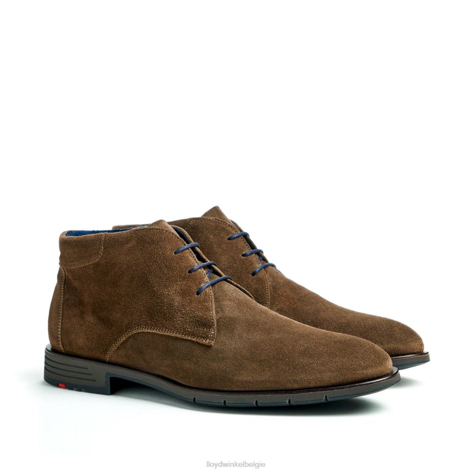 tamar Heren LLOYD bruin schoenen ZJ6BL49