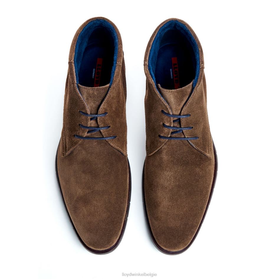 tamar Heren LLOYD bruin schoenen ZJ6BL49