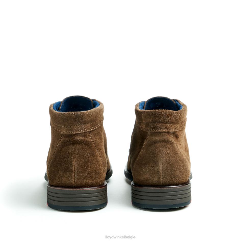 tamar Heren LLOYD bruin schoenen ZJ6BL49