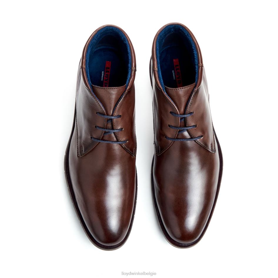 tamar Heren LLOYD bruin schoenen ZJ6BL55