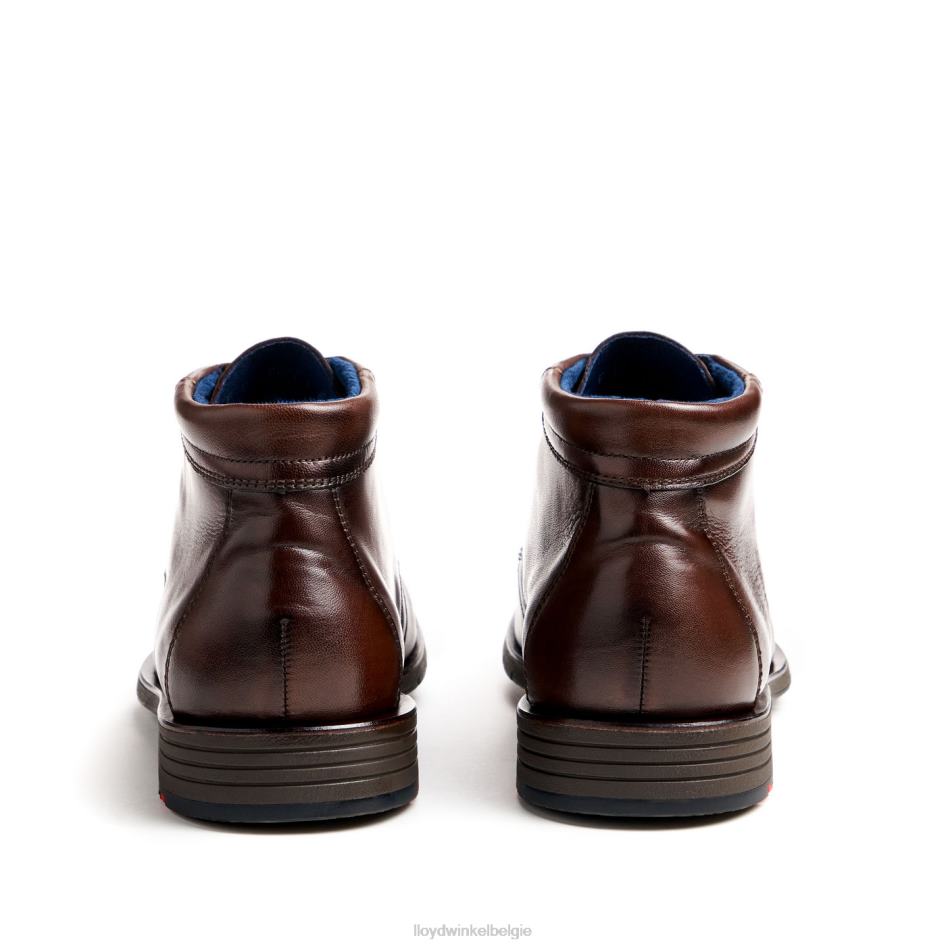 tamar Heren LLOYD bruin schoenen ZJ6BL55
