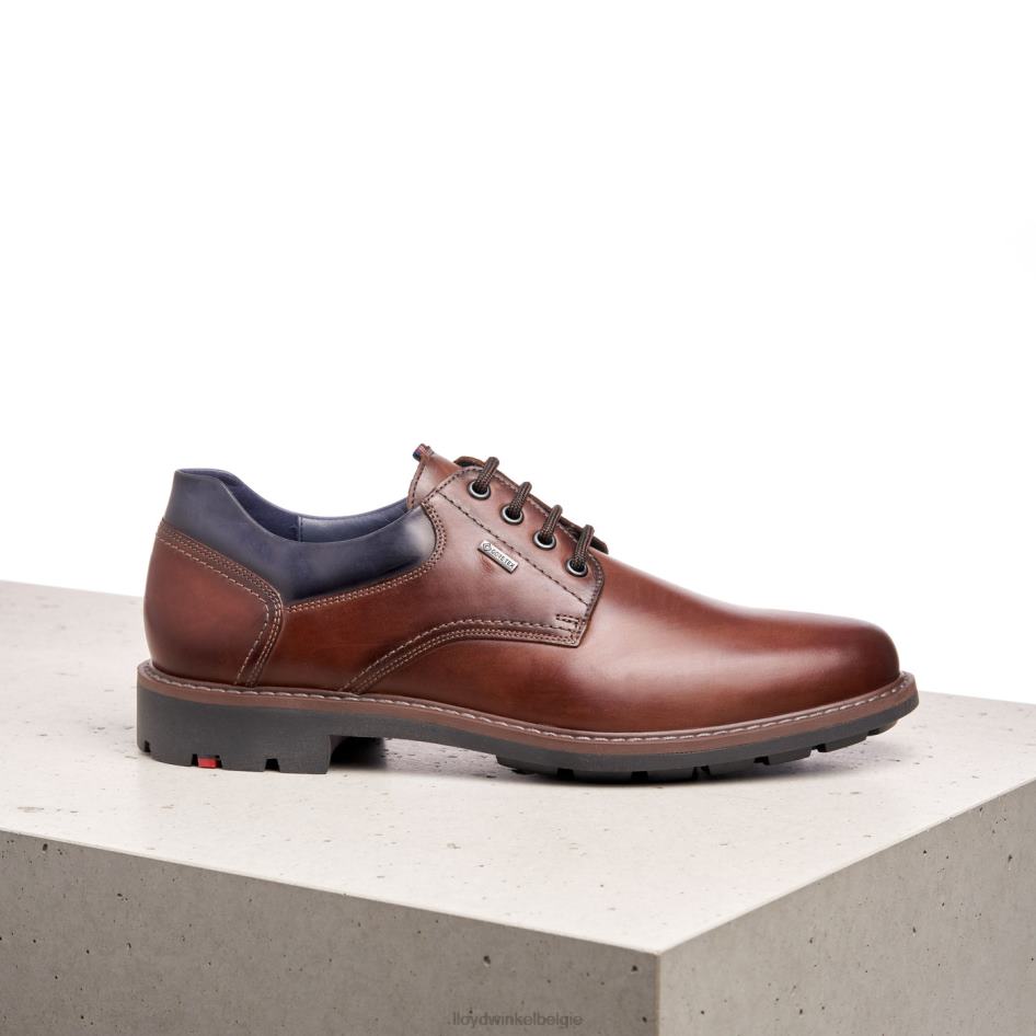 vanja Heren LLOYD bruin schoenen ZJ6BL576
