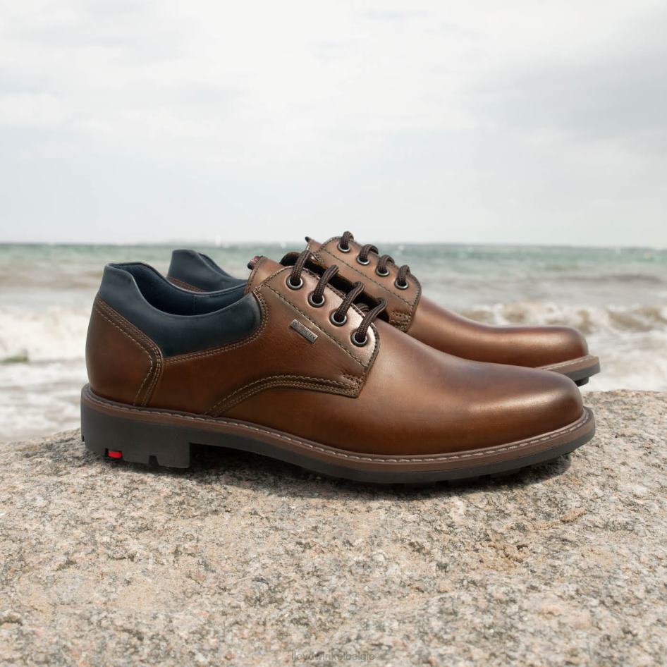 vanja Heren LLOYD bruin schoenen ZJ6BL576