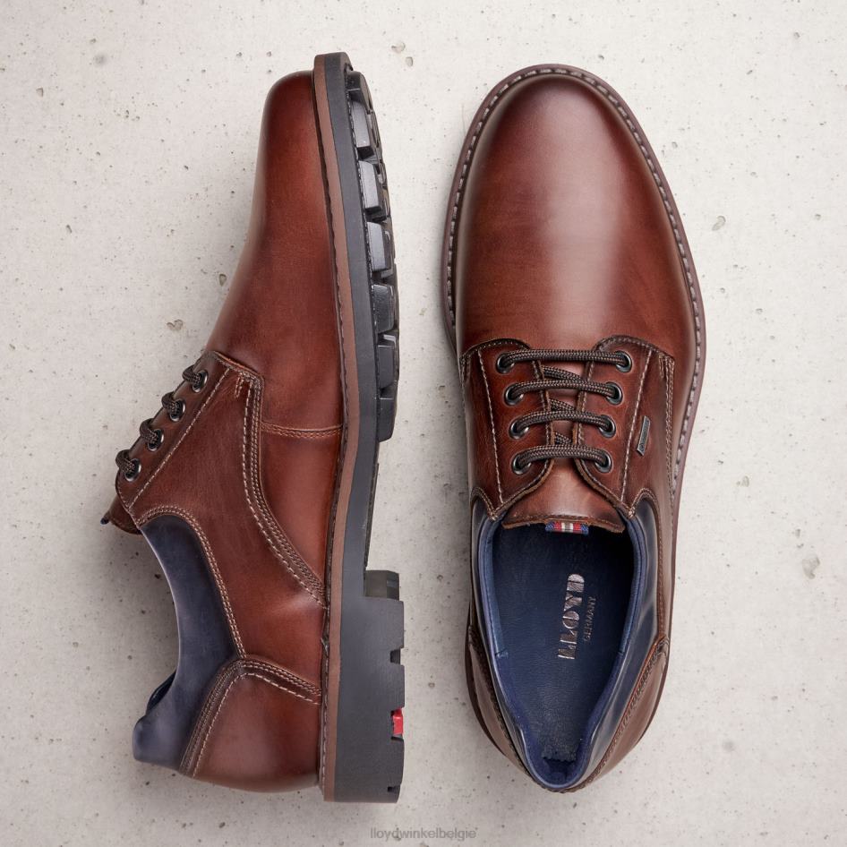 vanja Heren LLOYD bruin schoenen ZJ6BL576