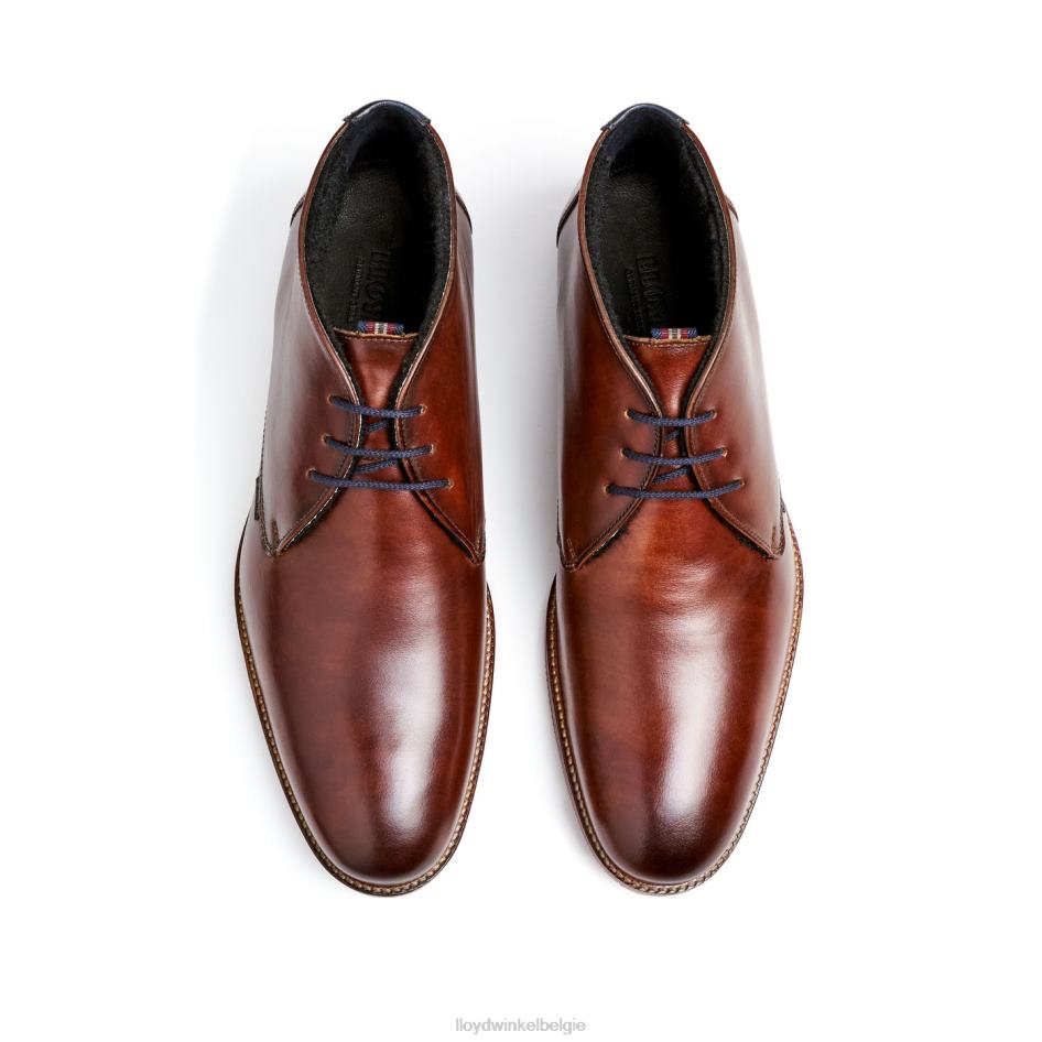 verdon Heren LLOYD bruin schoenen ZJ6BL138