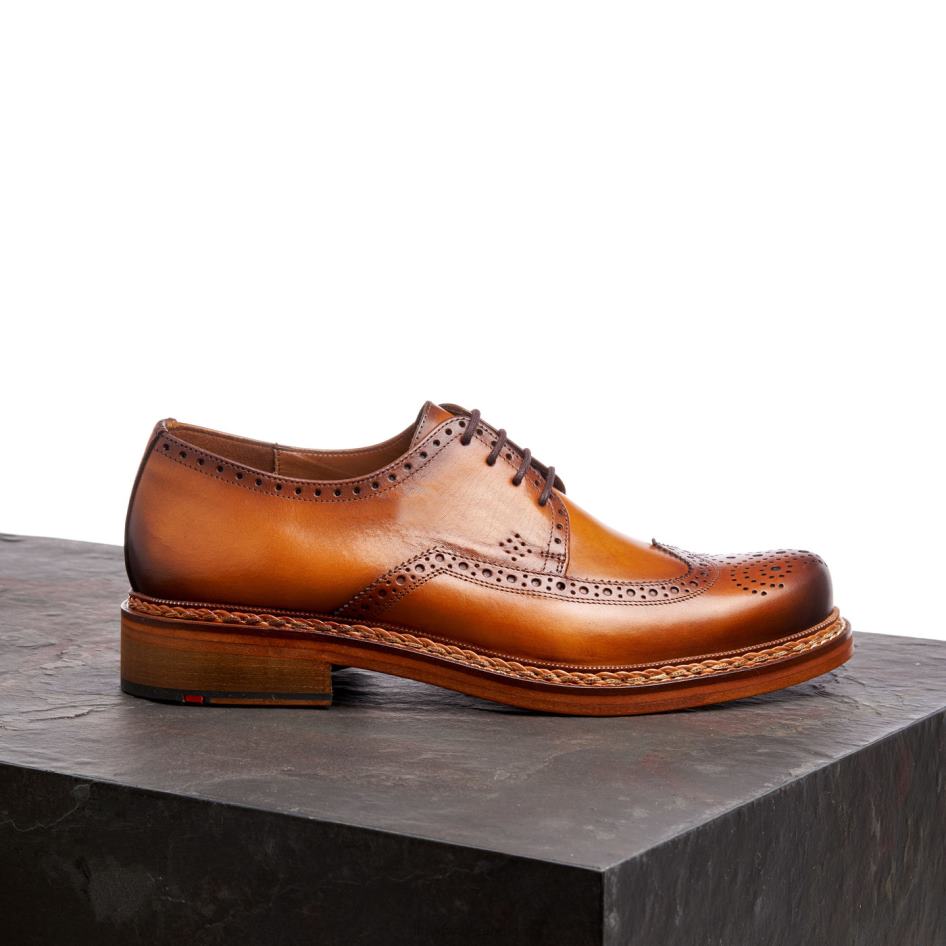 wotan Heren LLOYD bruin schoenen ZJ6BL163