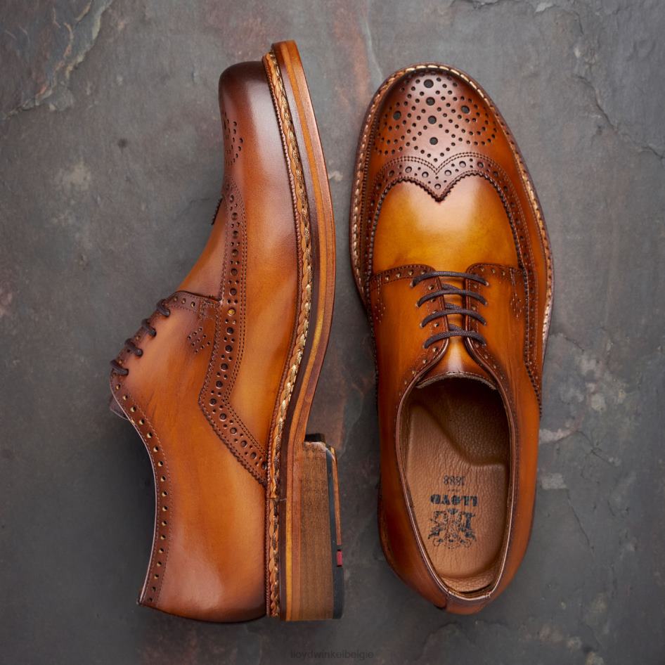 wotan Heren LLOYD bruin schoenen ZJ6BL163