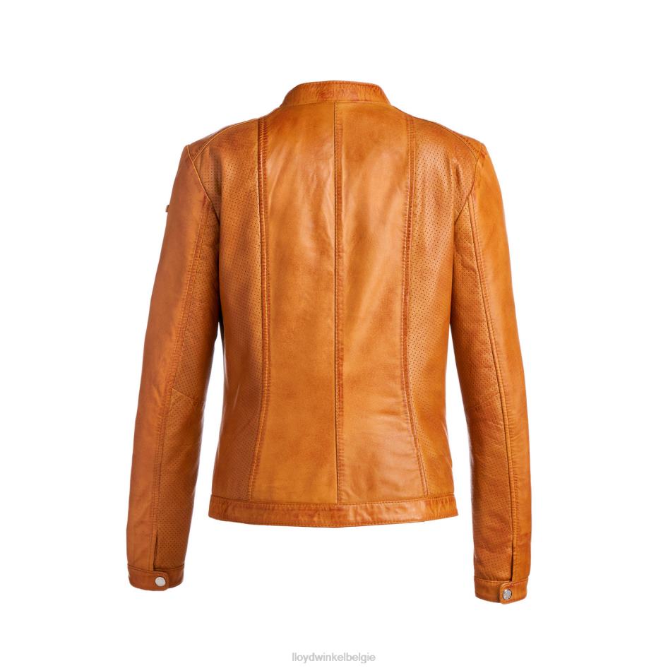 susen vrouwen LLOYD bruin kleding ZJ6BL1262