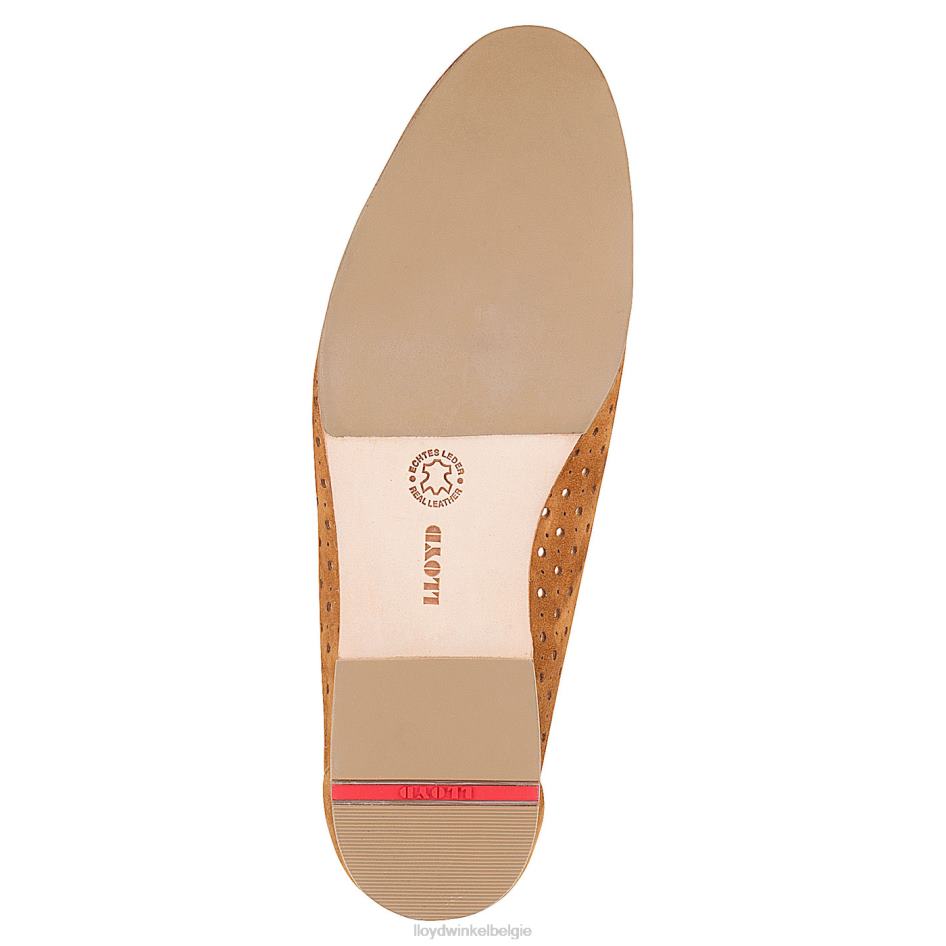 ballerina vrouwen LLOYD bruin schoenen ZJ6BL1144
