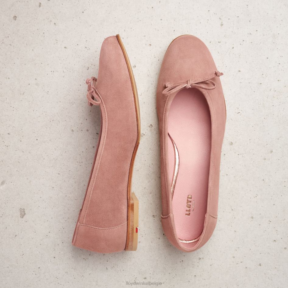 leren ballerina vrouwen LLOYD beige schoenen ZJ6BL1258