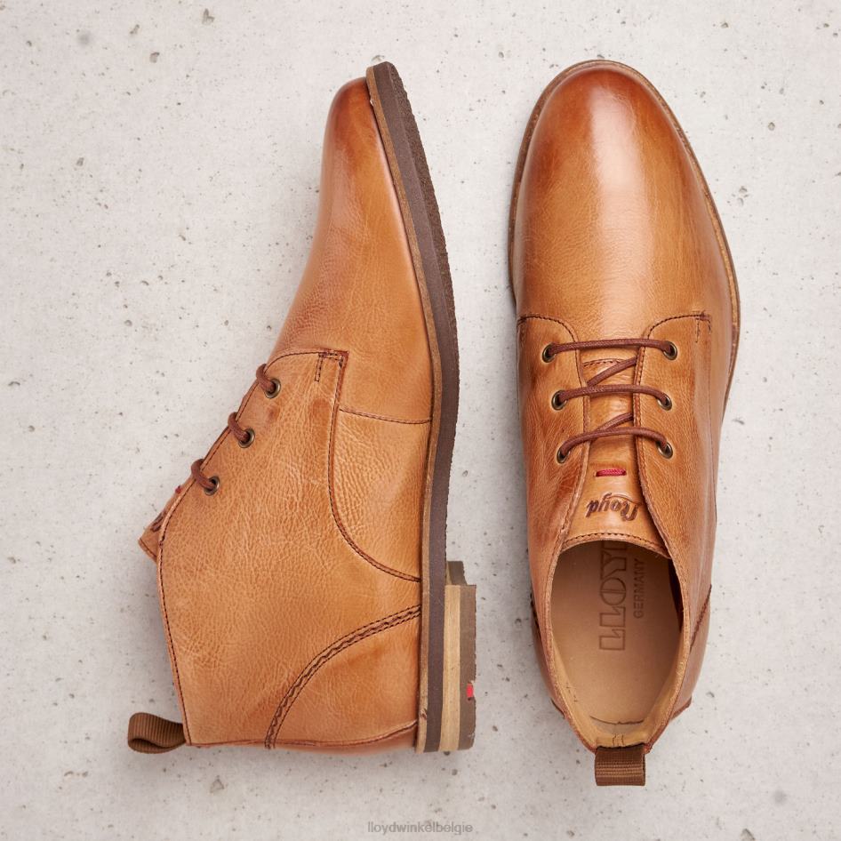 Enkellaarsjes met vetersluiting vrouwen LLOYD bruin schoenen ZJ6BL994