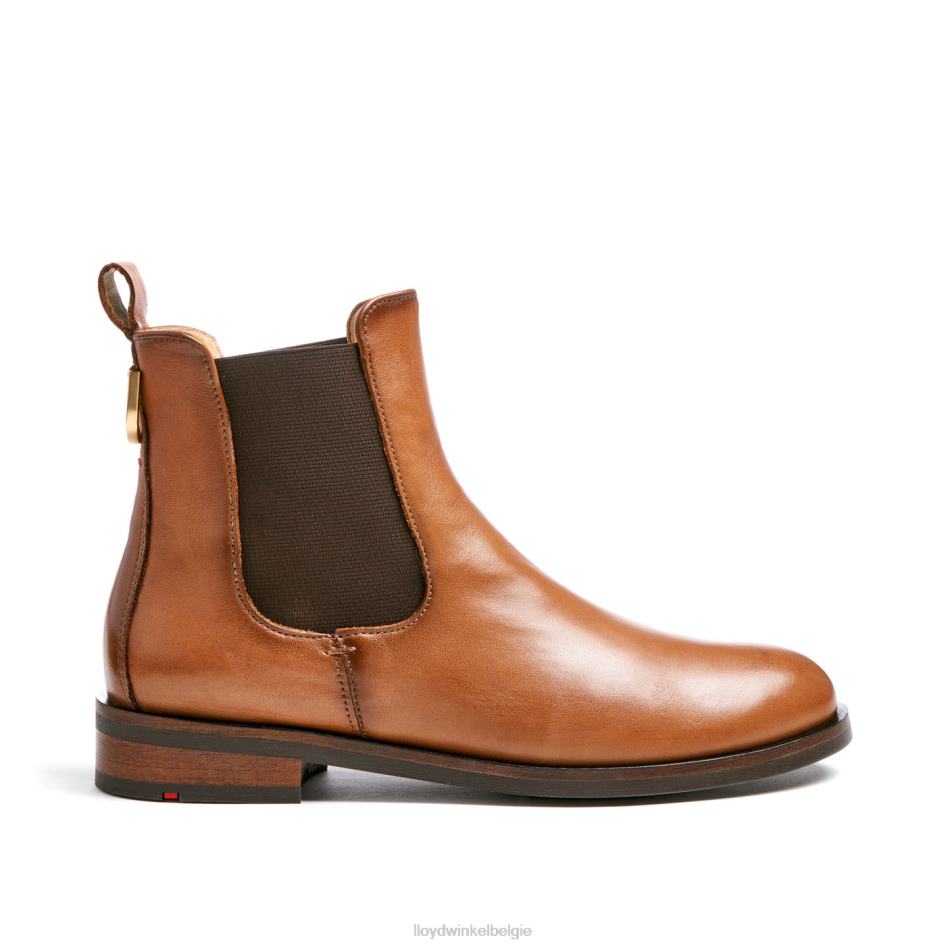 Enkellaarsjes van glad leer vrouwen LLOYD bruin schoenen ZJ6BL933