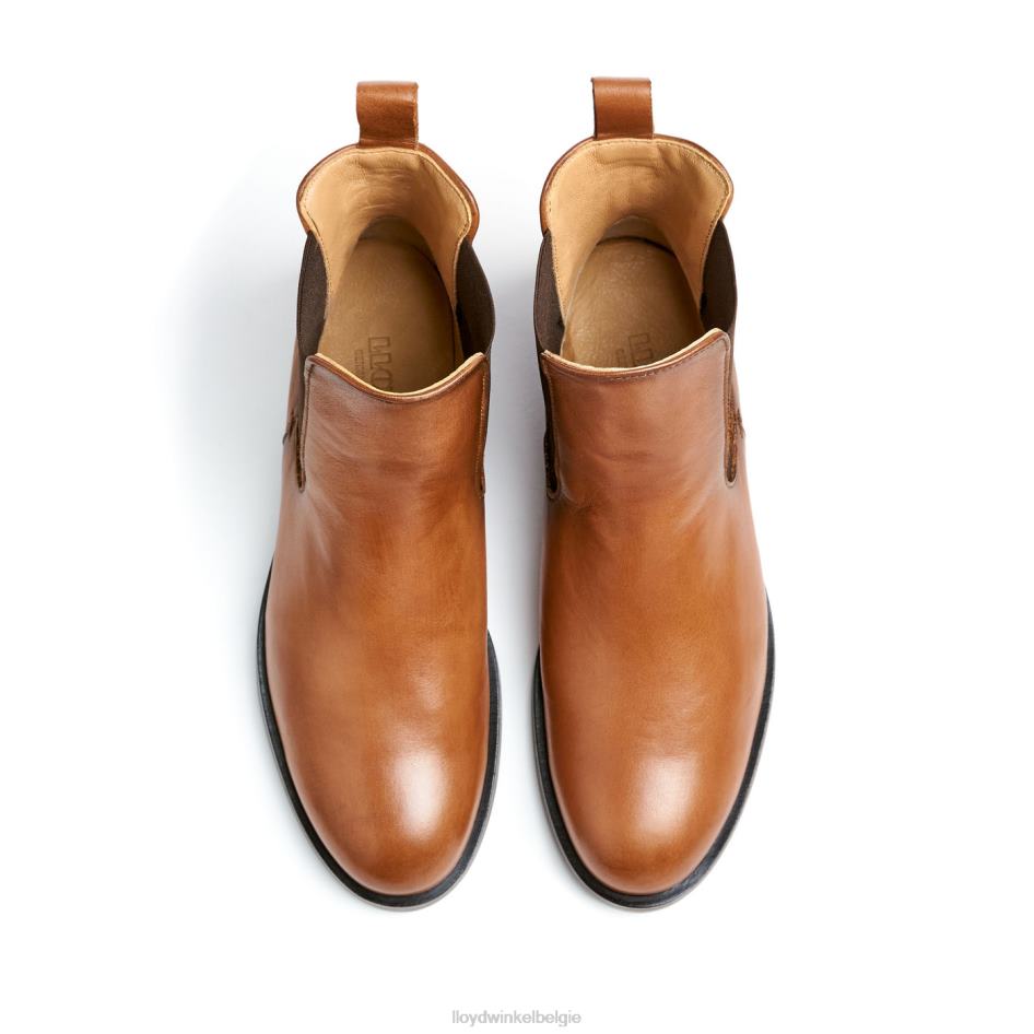 Enkellaarsjes van glad leer vrouwen LLOYD bruin schoenen ZJ6BL933