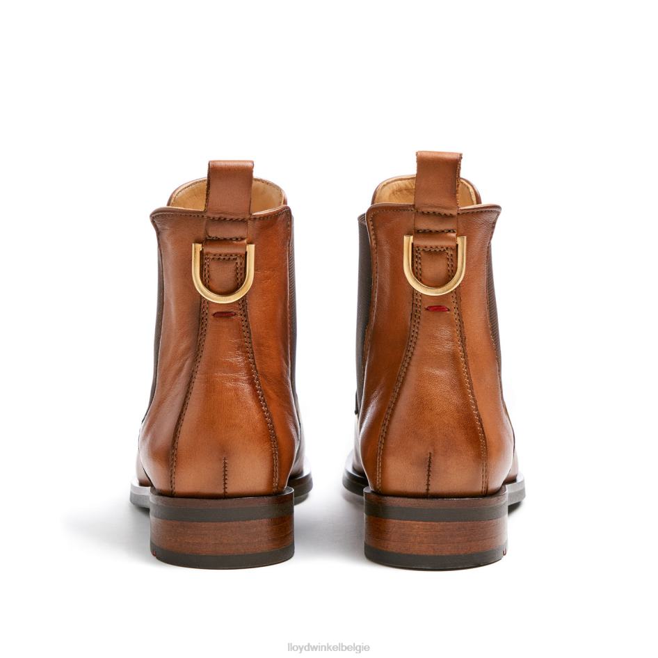 Enkellaarsjes van glad leer vrouwen LLOYD bruin schoenen ZJ6BL933