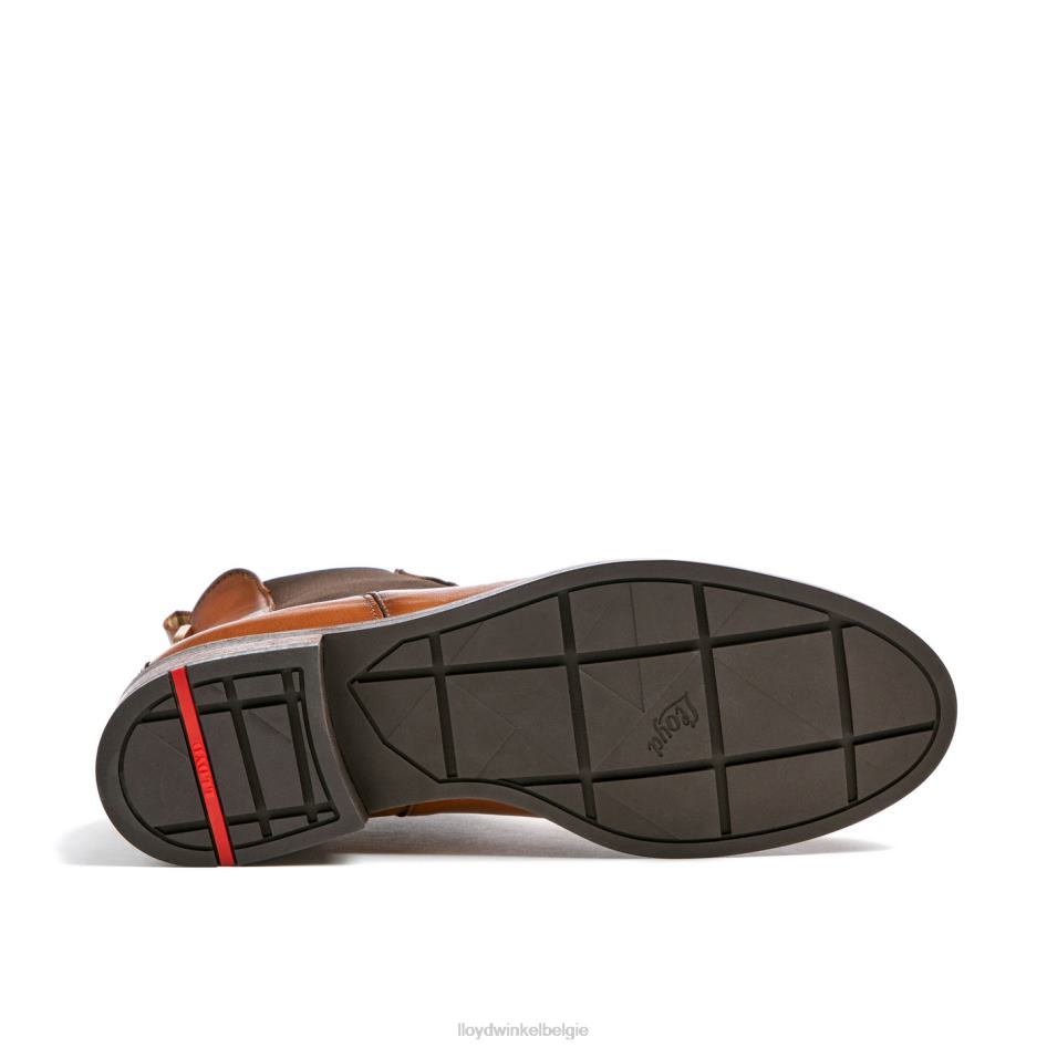 Enkellaarsjes van glad leer vrouwen LLOYD bruin schoenen ZJ6BL933