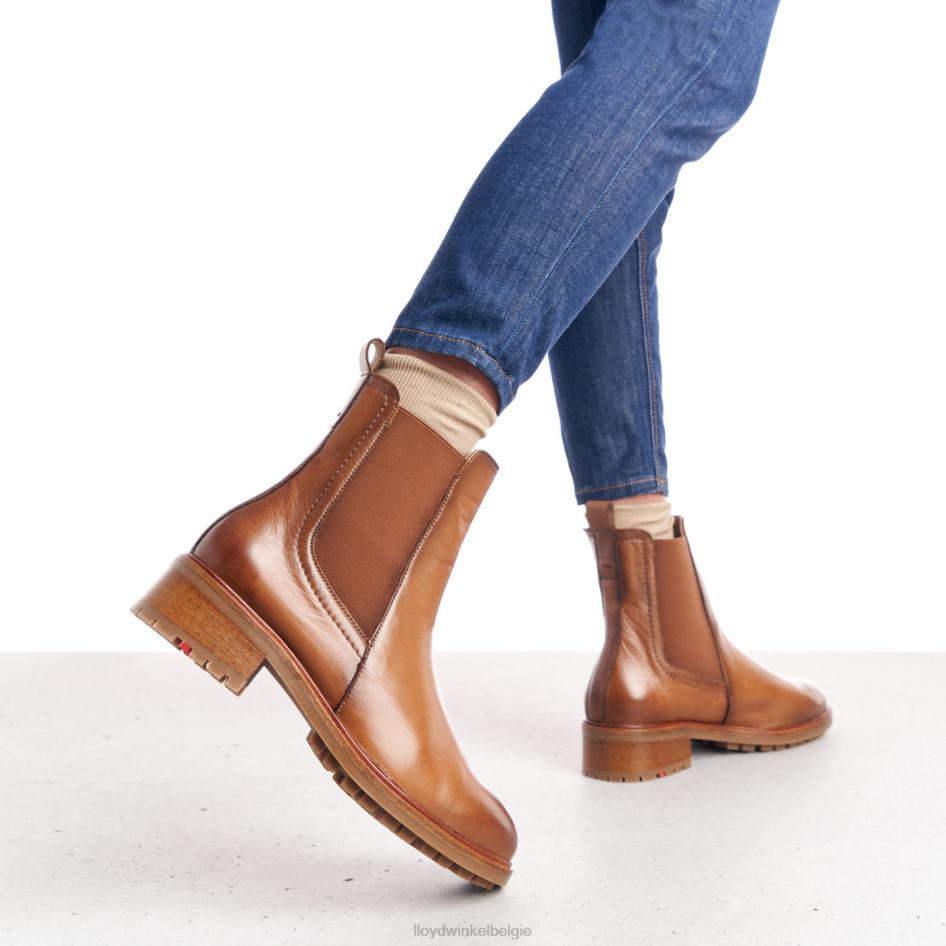 Enkellaarsjes van glad leer vrouwen LLOYD bruin schoenen ZJ6BL964