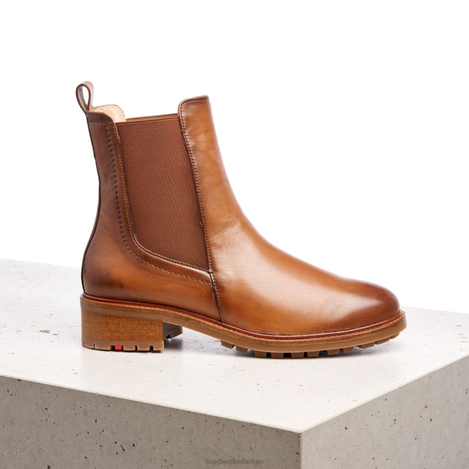 Enkellaarsjes van glad leer vrouwen LLOYD bruin schoenen ZJ6BL964