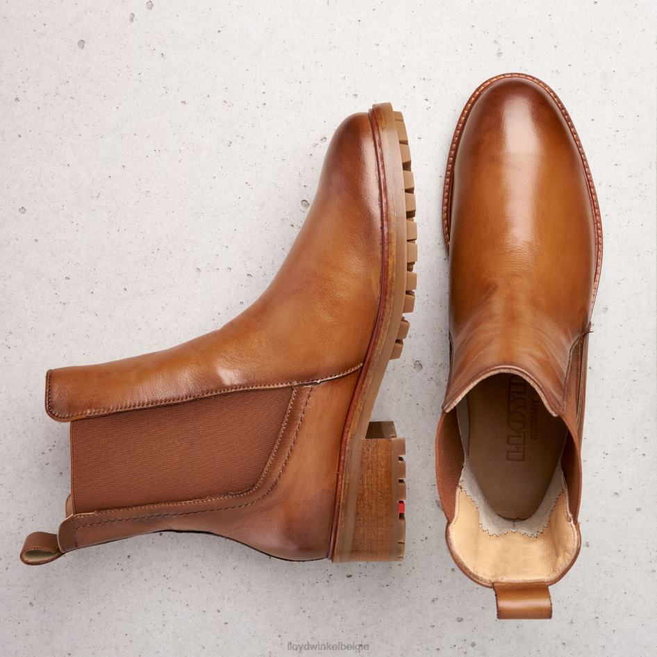 Enkellaarsjes van glad leer vrouwen LLOYD bruin schoenen ZJ6BL964