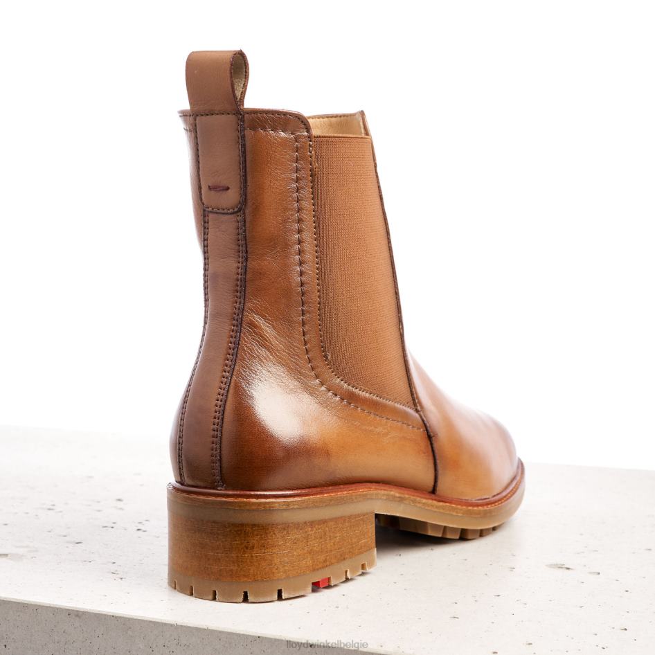 Enkellaarsjes van glad leer vrouwen LLOYD bruin schoenen ZJ6BL964