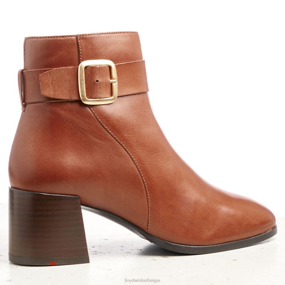 enkellaarsjes van glad leer vrouwen LLOYD bruin schoenen ZJ6BL968