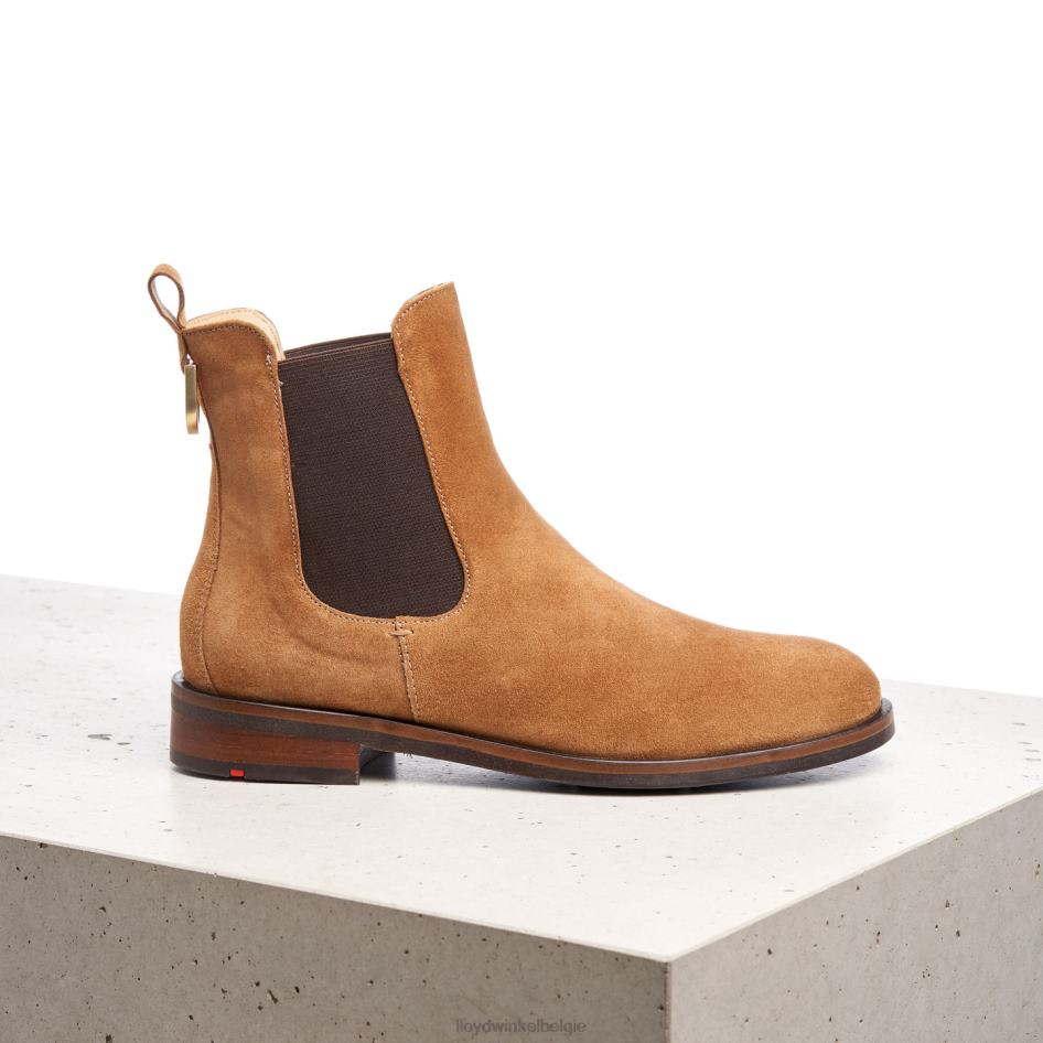 enkellaarsjes vrouwen LLOYD bruin schoenen ZJ6BL967