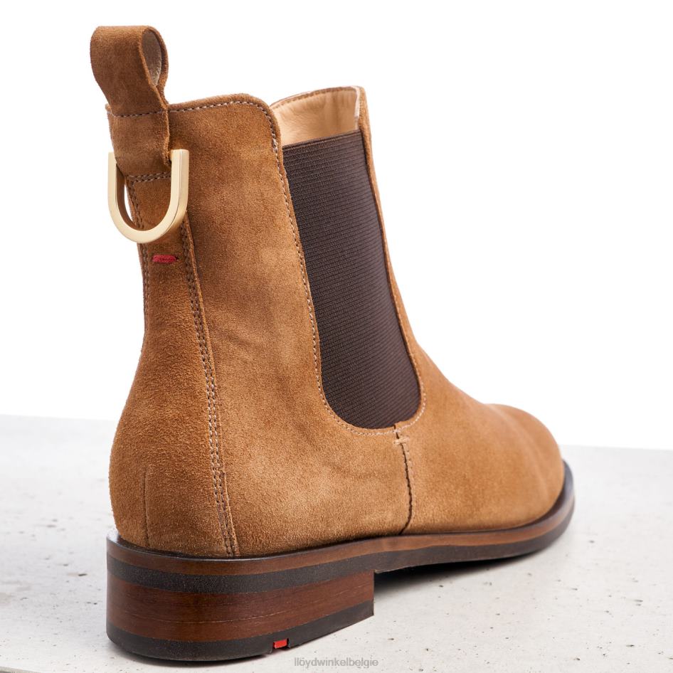 enkellaarsjes vrouwen LLOYD bruin schoenen ZJ6BL967