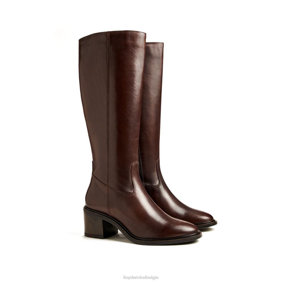 laars vrouwen LLOYD bruin schoenen ZJ6BL1191