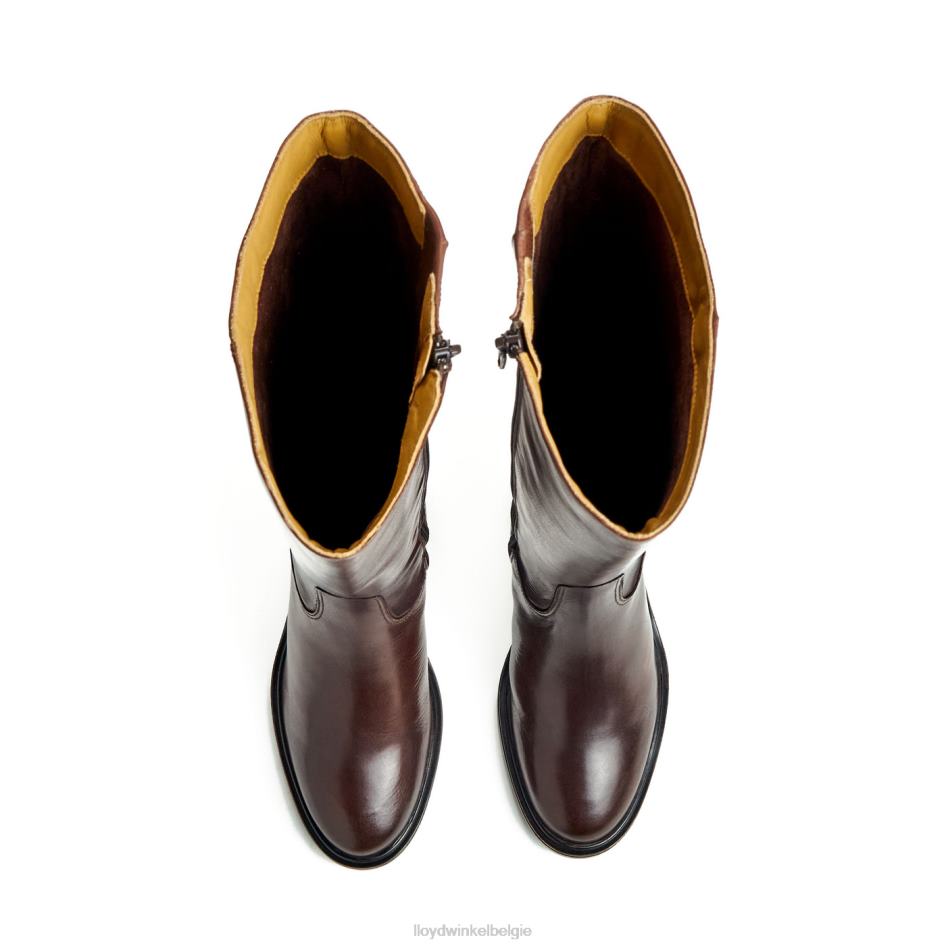 laars vrouwen LLOYD bruin schoenen ZJ6BL1191