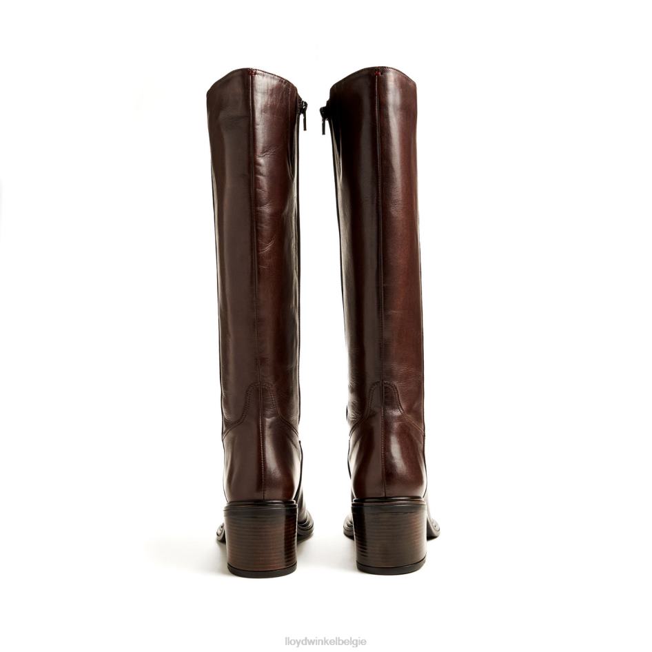 laars vrouwen LLOYD bruin schoenen ZJ6BL1191