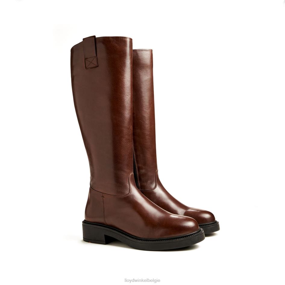 laars vrouwen LLOYD bruin schoenen ZJ6BL1193