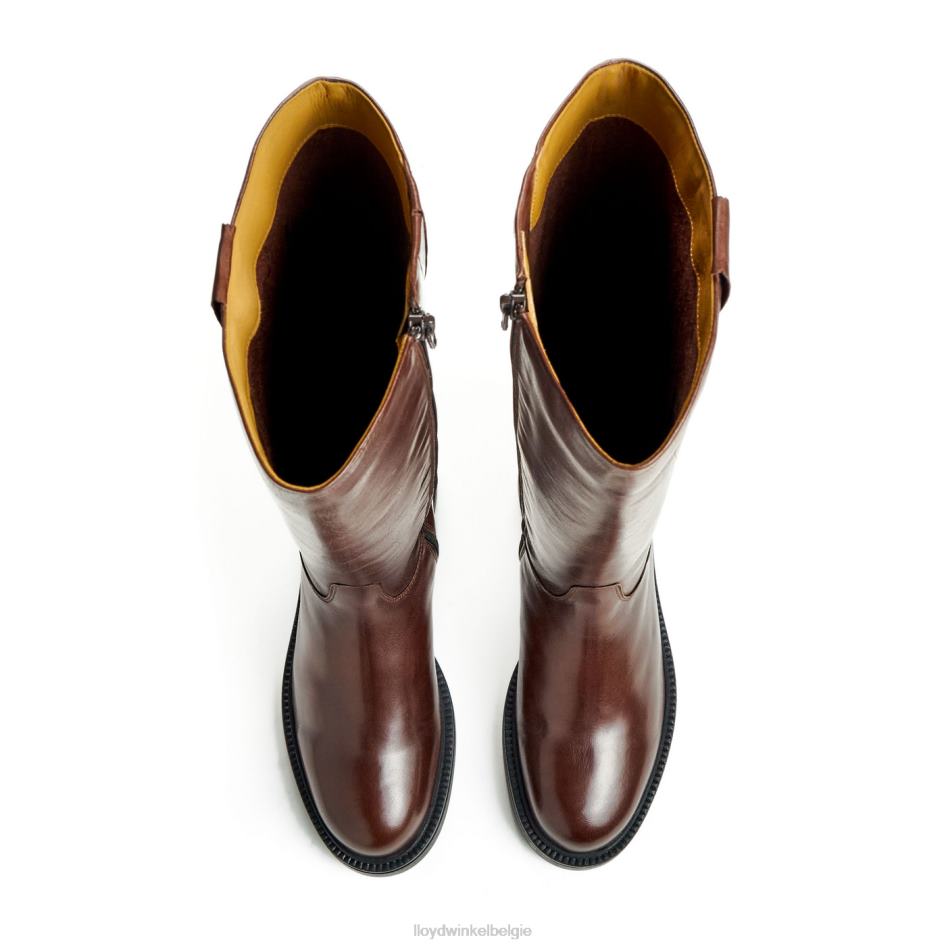 laars vrouwen LLOYD bruin schoenen ZJ6BL1193